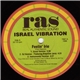 Israel Vibration - Feelin Irie