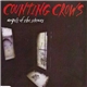 Counting Crows - Angels Of The Silences